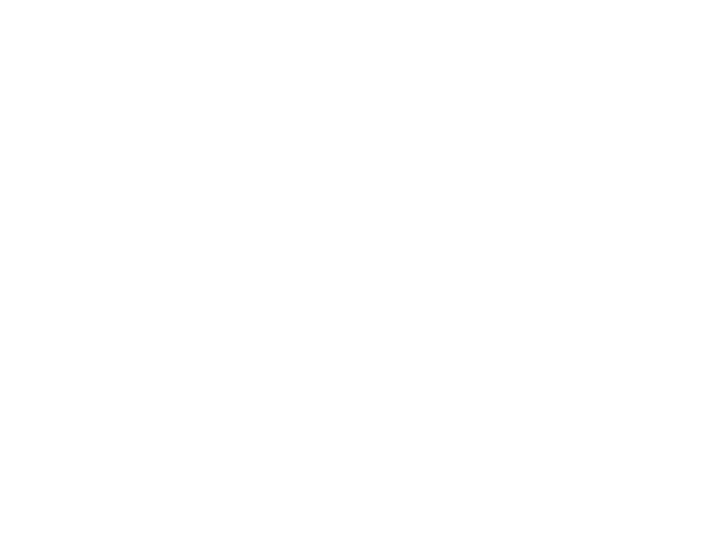 Logo BikeServBraila.ro